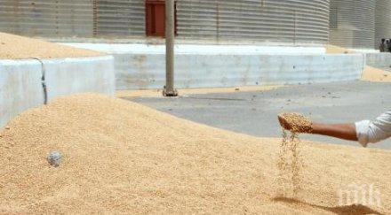 задава поскъпване хляба