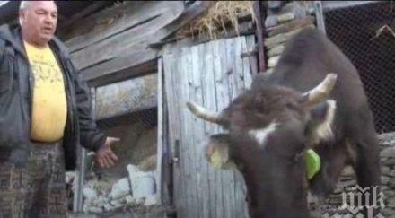 кравата пенка отели кръстиха малкото британски депупат