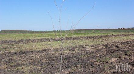 стотици земеделци кричим фалит заради безводието