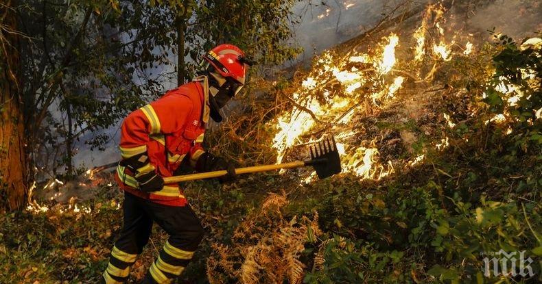 Евакуираха хиляди къмпингуващи заради пожар във Франция