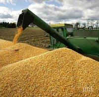 Нахлуването в Украйна изстреля цената на пшеницата до невиждано равнище