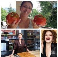ПЪРВО В ПИК: Катето Евро разкри тайната за гигантските си домати - ето чалъма, с който актрисата пълни щайгите в градината (СНИМКА)