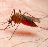 Жестока малария мори хората в Югоизточна Азия