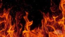 ОГНЕНА СТИХИЯ: 30 хил. кокошки носачки изгоряха живи при пожар в Пещера