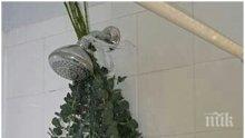 МЕЖДУ ЗДРАВЕТО И МОДАТА: Ето какво ни се случва, ако вземем евкалиптов душ