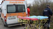 КЪРВАВ КУРБАН: Разсеян шофьор уби дядо на пътя Разград-Русе