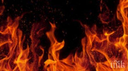 огнена стихия хил кокошки носачки изгоряха живи пожар пещера