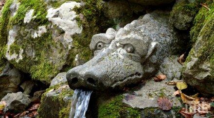 софия борят жегите мобилни чешми витошка