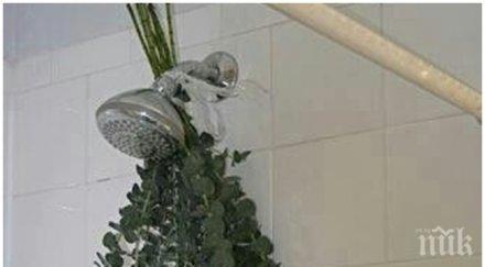 здравето модата случва вземем евкалиптов душ