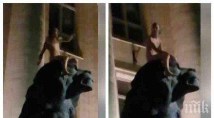 среднощен ездач чисто гол мъж яхна лъва съдебната палата софия видео снимки