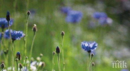 звездите говорят сряда бъдете търпеливи никакъв случай рискувайте