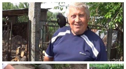 първо пик гарванът пейо монтанското село якимово новата сензация мрежата вижте уникално видео