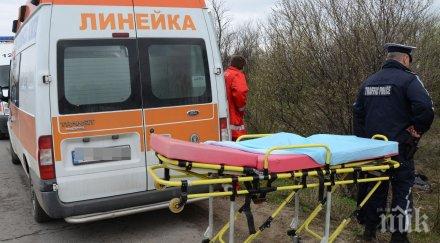 кървав курбан разсеян шофьор уби дядо пътя разград русе