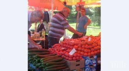 болест доматите напомпа цените евтините 250 лева килото