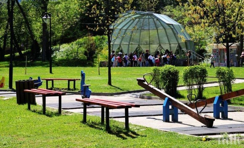 Мерки: Община Дупница въведе ограничителен режим за непълнолетни в градския парк Рила