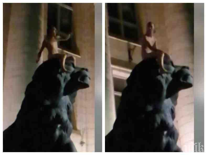 СРЕДНОЩЕН ЕЗДАЧ: Чисто гол мъж яхна лъва пред Съдебната палата в София (ВИДЕО/СНИМКИ 18+)
