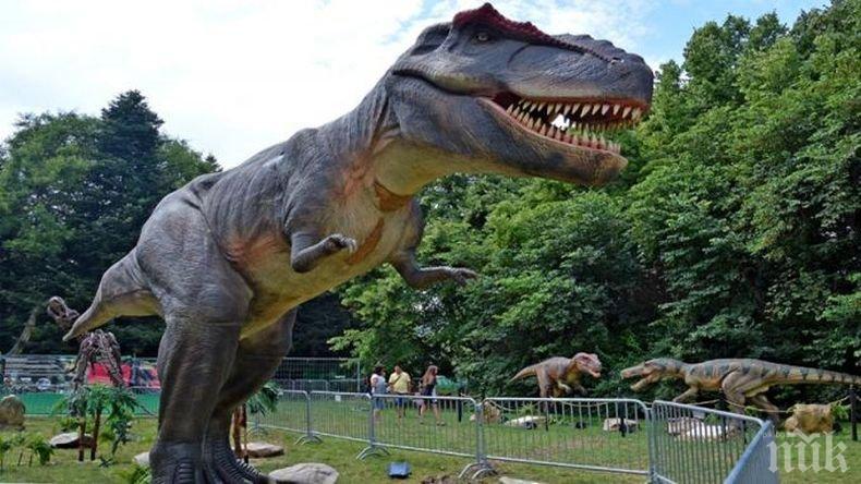 МИСТИЧЕН СВЯТ: Динозаври обитавали България в праисторически времена