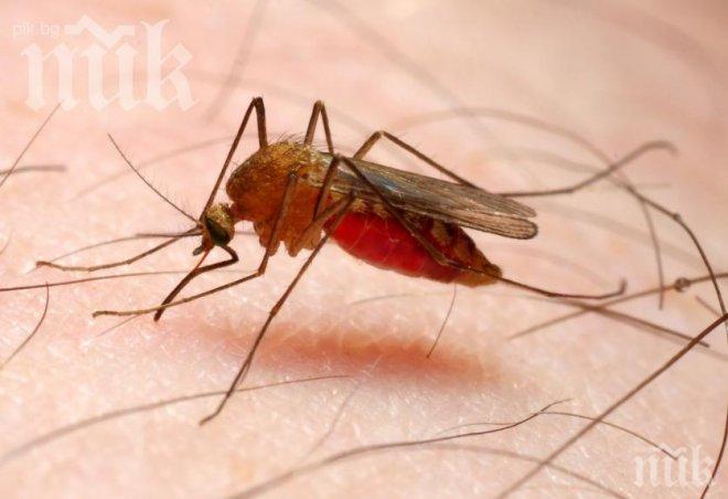Жестока малария мори хората в Югоизточна Азия