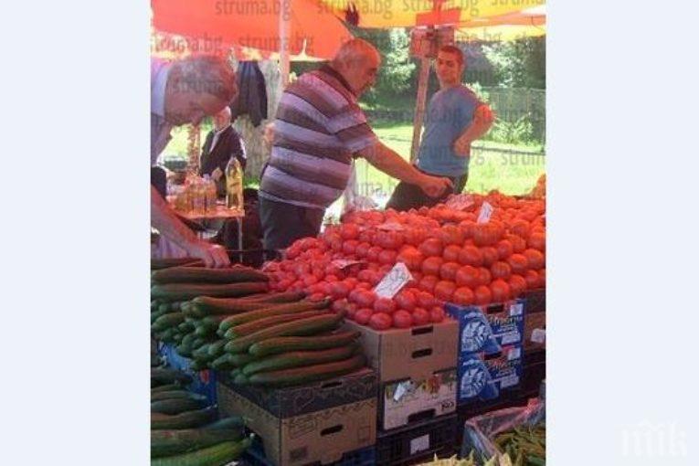 Болест по доматите напомпа цените, най-евтините по 2,50 лева килото