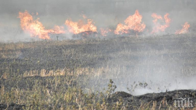 Житен масив гори край София