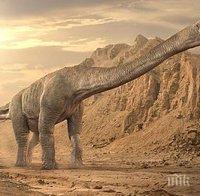 Във Франция откриха гигантска кост от динозавър
