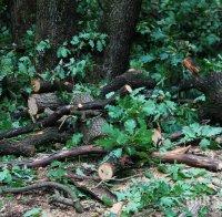 ПОТРЕС: Бракониери пребиха горски