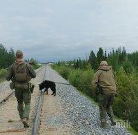 Армията на Канада издирва тийнейджъри, заподозрени в тройно убийство