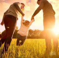 За помощи за деца ще се кандидатства и по електронен път 