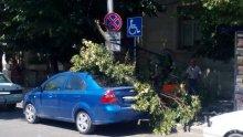 Клон се стовари върху кола с хора в центъра на Пловдив