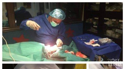 пик нещастен случай касапин броди иваняне ветеринар спаси изкормено куче сигурна смърт снимки