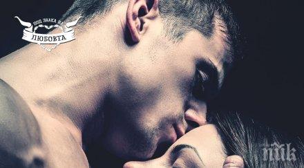 горещи страсти перфектното четиво лятото красив сенатор две сестри оплетени любовен триъгълник