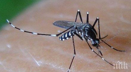 устойчиви лечение маларийни паразити обхванаха част азия