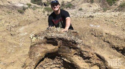 уникален шанс студент откри динозавърски череп млн години първото участие разкопки