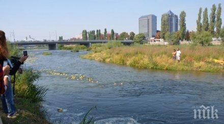 апи подпука проекта река марица