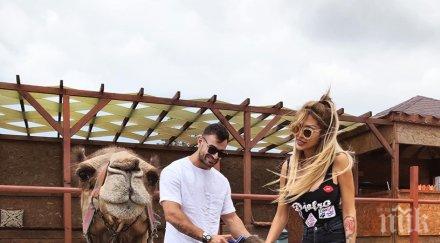 малката джулка чеше камила