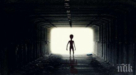 тотална лудост масови застраховки отвличане извънземни