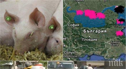 шокиращо пик тролове опозицията разпространяват фалшиви снимки убити прасета снимки