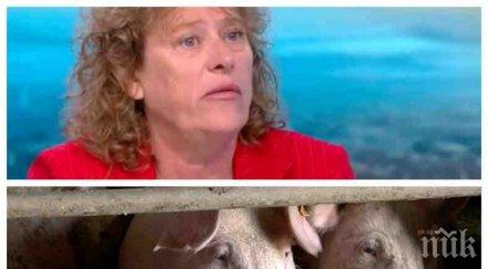 еколог предупреди цяла българия застрашена свинската чума