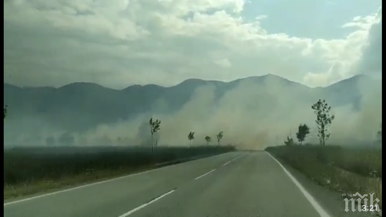 СИГНАЛ ДО ПИК: Пожар гори край Враца, пътят не се вижда от гъст дим (ВИДЕО/СНИМКИ)