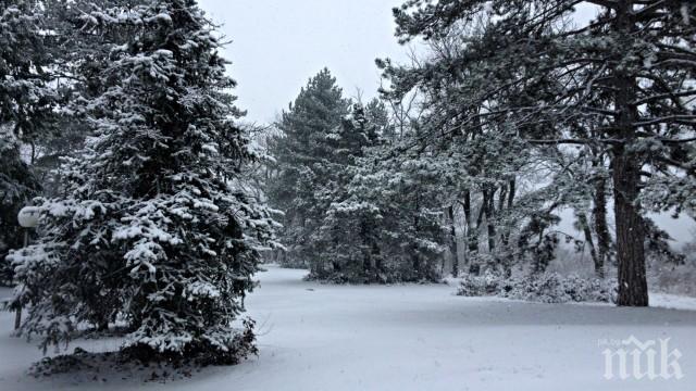 Ако ви липсва снегът в жегата - вижте какво се случва в Аржентина (ВИДЕО)