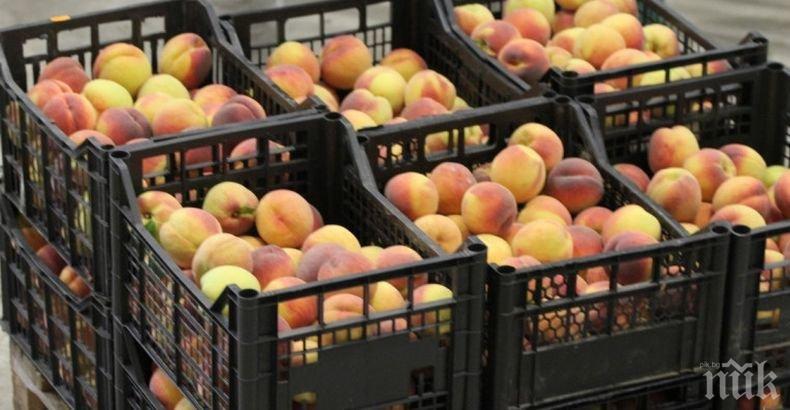 В Сливенско ще се проведе традиционният празник на производителите на праскови