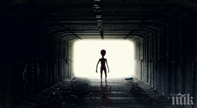 Тотална лудост: Масови застраховки срещу отвличане от извънземни