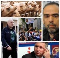 САМО В ПИК: Мрежата изригна срещу Тома Белев за слугинажа му към подсъдимия олигарх Прокопиев и чумата по свинете (СНИМКИ)
