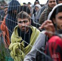 НОВА ВЪЛНА: В Турция заловиха над 900 нелегални мигранти