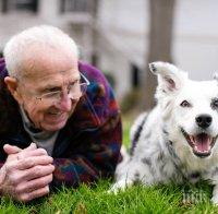 След като надживя стопанина си: Почина най-умното куче в света (СНИМКИ)