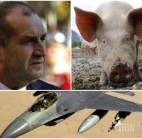 Г-н Радев, излагате се! Какво е общото между Ф-16 и чумата по свинете – вашите „Грипен“-и ли?