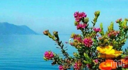 звездите говорят напрежението засилва очакват конфликти трудности бизнеса