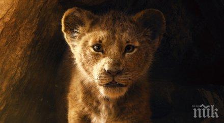 цар лъв гледаният филм нас