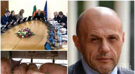 първо пик правителството спешен съвет заради чумата свинете мерки спират заразата обновена