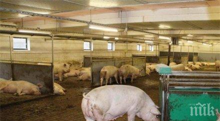 кризисни мерки фонд земеделие прекратява физическите проверки свинефермите